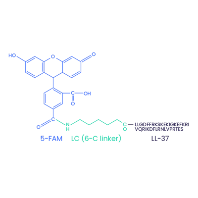 5-FAM-LL-37 (разбъркано) CAS 2022972-73-0